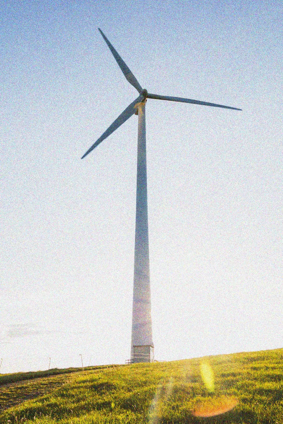 Vectoriam by Auren está especializado en el sector Energía